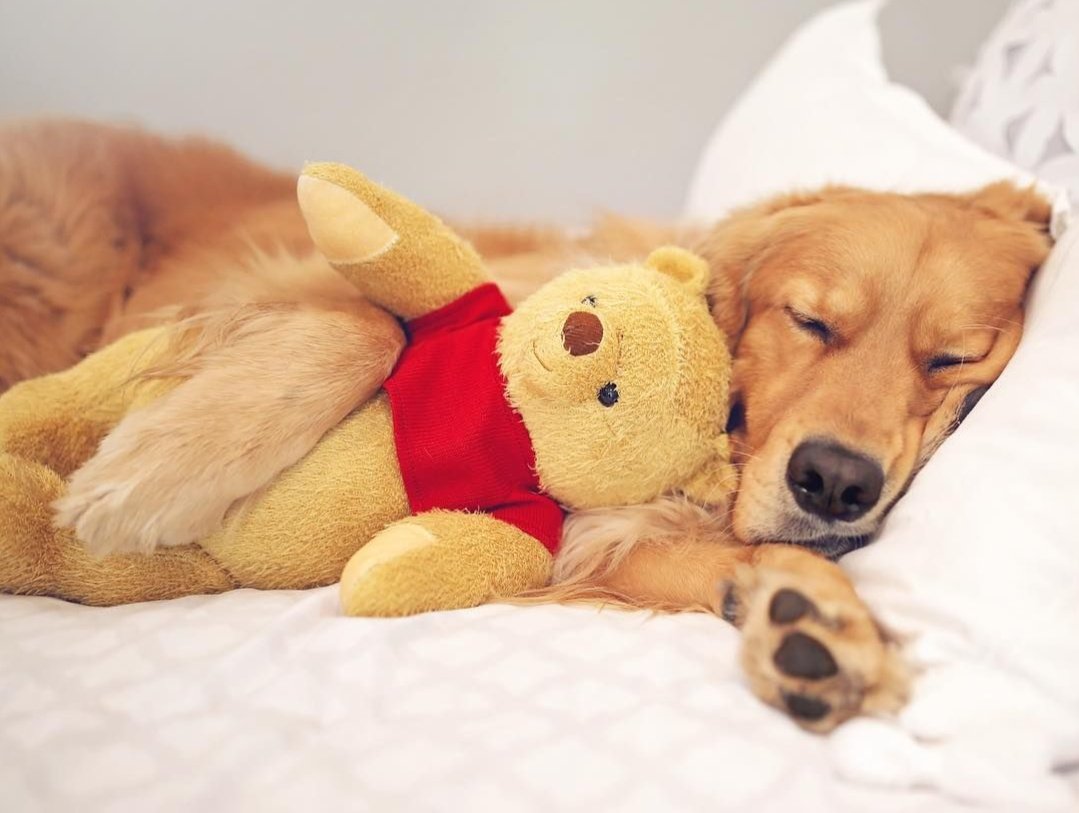 arjlpdck's tweet image. mahal na kita kung gets mo tong pic #JUNKTERRORBILLNOW  Don&apos;t Say #YesToAntiTerrorBill #FreeCebu7 #MassTestingNowPH