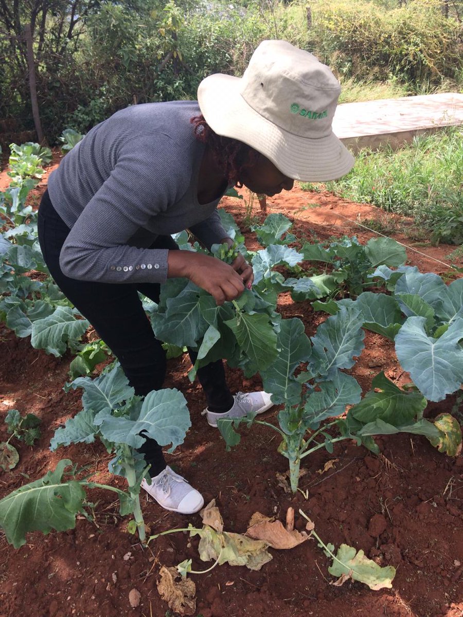RSNetwork_'s tweet image. Hanns Seidel Foundation supports the #Forestchallenge, whereby each post leads to one tree being planted in Indonesia. Here are our team members engaging and appreciating nature, as it provides all our basic needs. @HSF_Kenya
 @UNEP 
@Cities4Forests 
#WorldEnvironmentDay2020