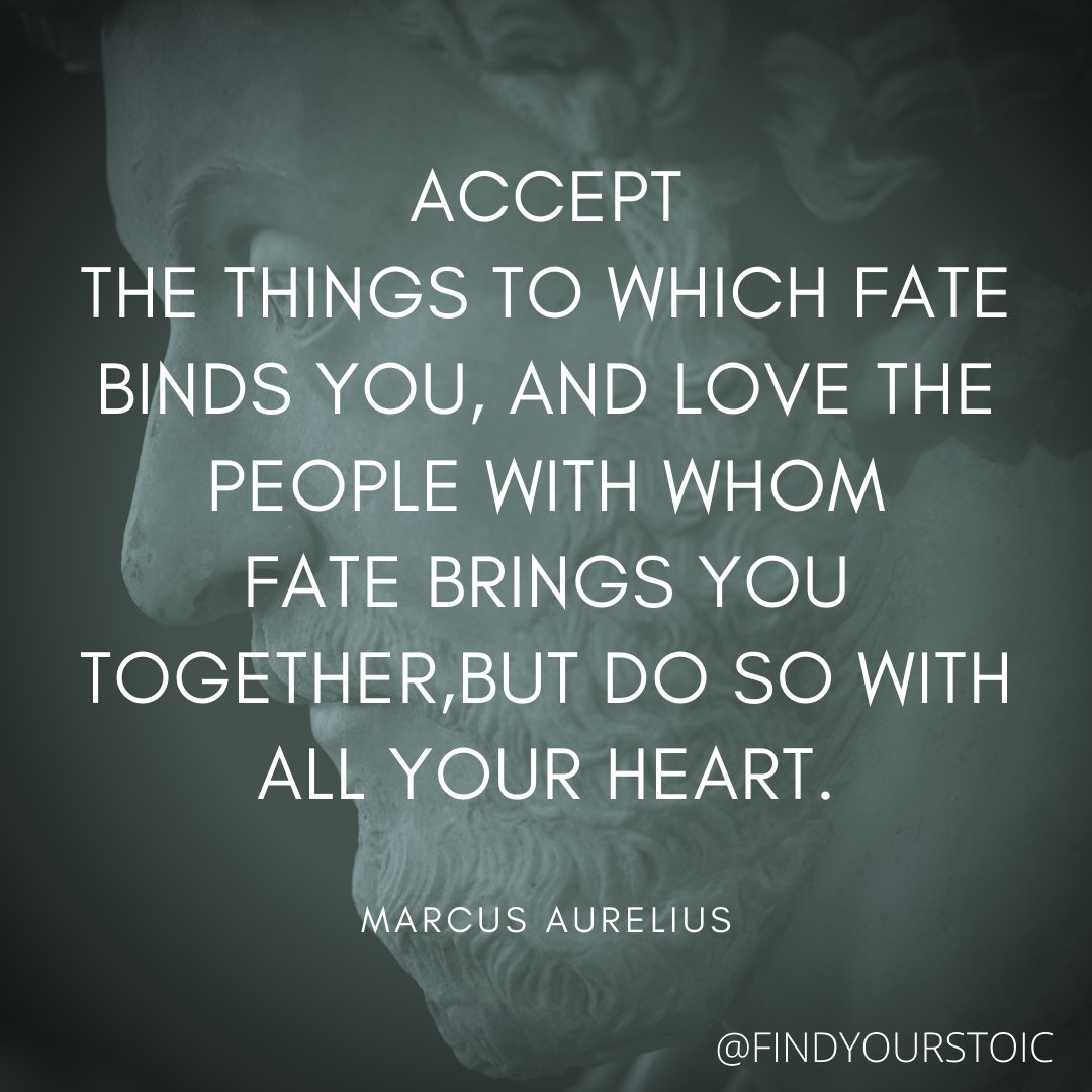 FindStoic tweet picture