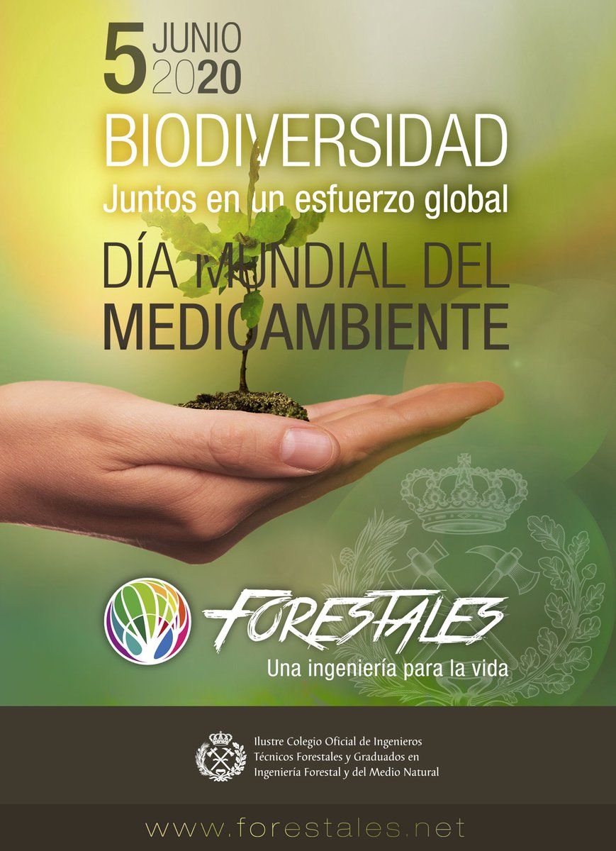 ¡Feliz Día Mundial del Medio ambiente 2020!