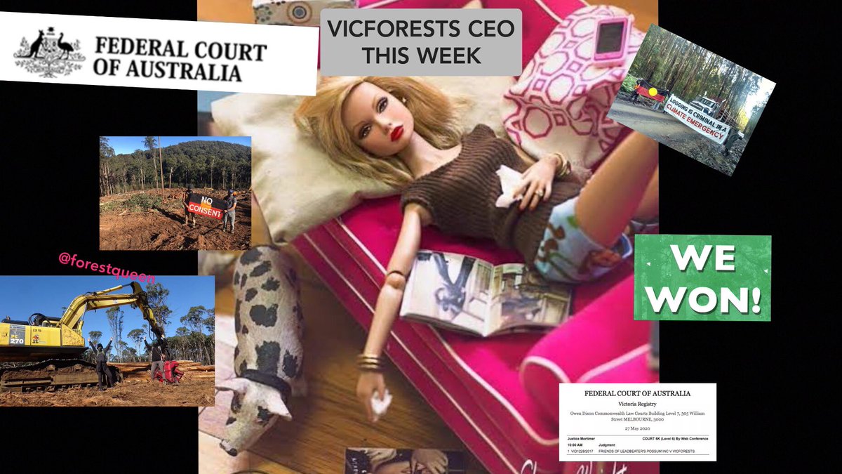 forestqueen11's tweet photo. Being the CEO of VicForests this week is like... https://t.co/jmDXW6V1r4