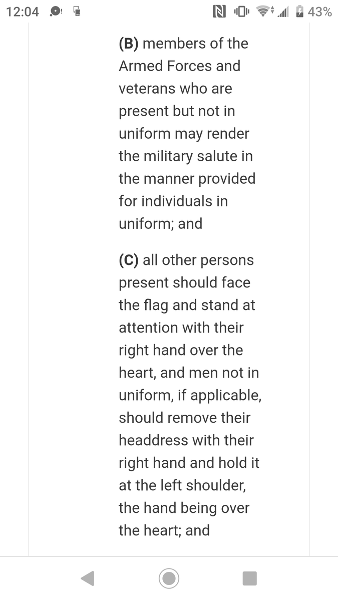 Jayde79825948's tweet photo. If you wear or hold the flag, you're less likely to be pushed or shot. If you have a speaker, play the national anthem and raise the flag. #protests2020 https://t.co/6BP2PYbbJD