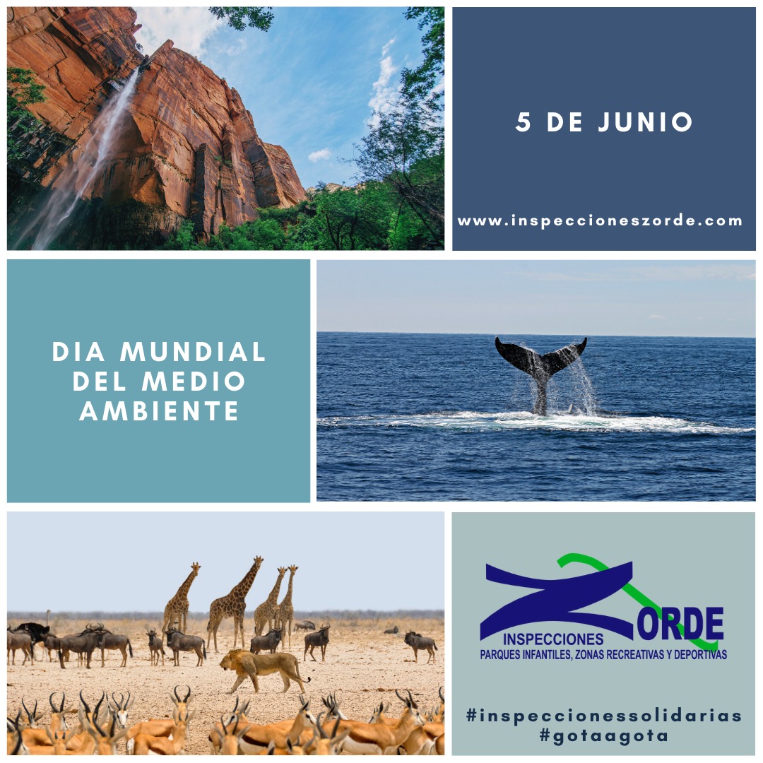 InfoZorde's tweet photo. CUIDEMOS NUESTRO PLANETA!!!!
#DiaMundialDelMedioAmbiente #inspeccionessolidarias #gotaagota #ayuntamientos #colegios https://t.co/ma1P84VoOX
