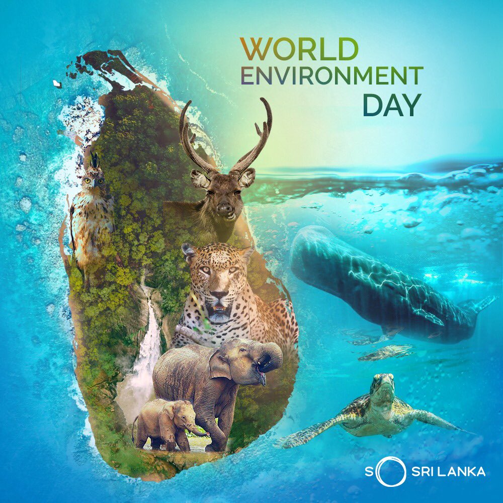 Let us begin to nurture nature so that we can all have a better future. Start today, save tomorrow. Happy World Environment Day!
#SoSriLanka #SLTPB #SriLanka #WorldEnvironmentDay