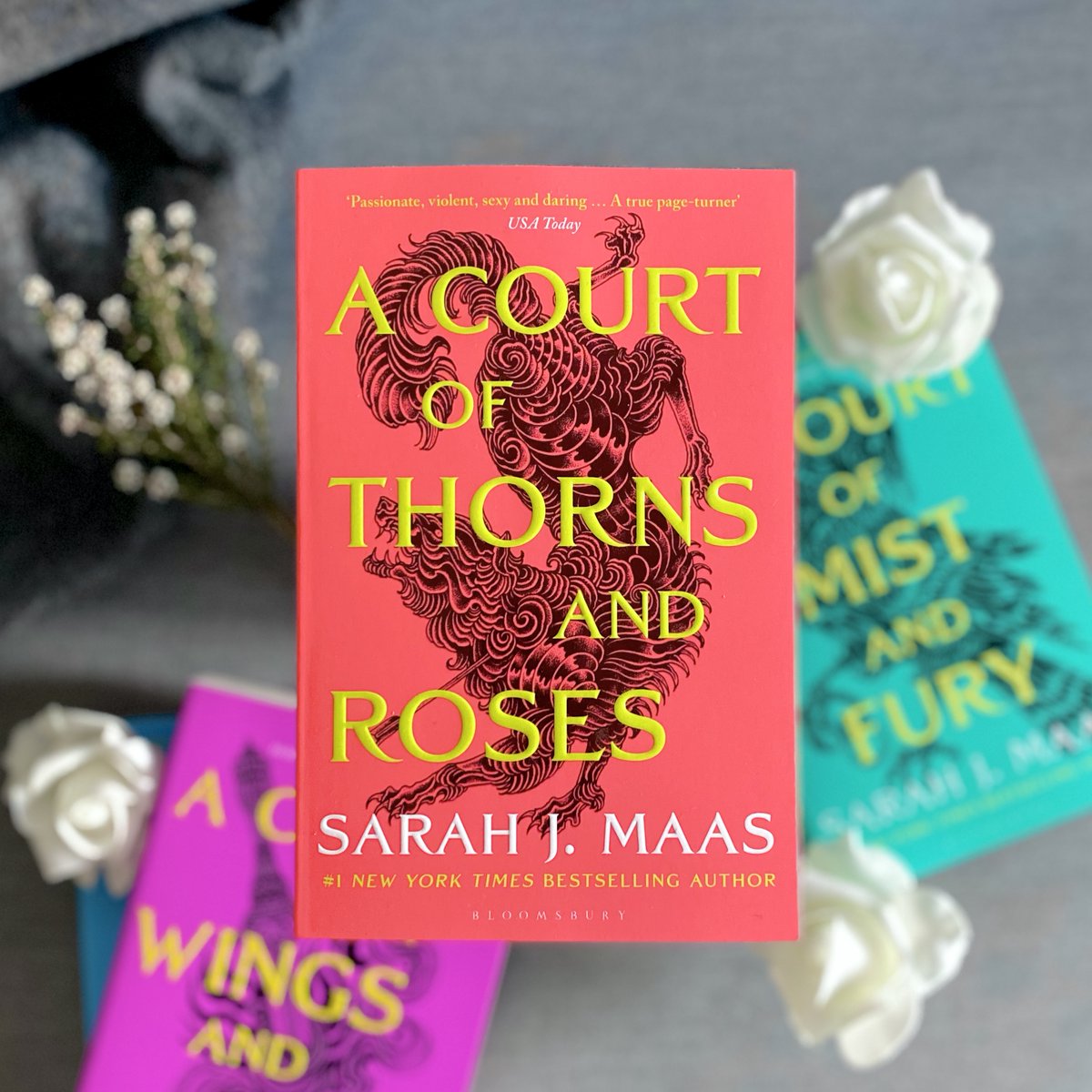 DymocksLC's tweet image. The new editions of @SJMaas bestselling fantasy series 'A Court of Thorns and Roses' are here and they are stunning! 😍😍