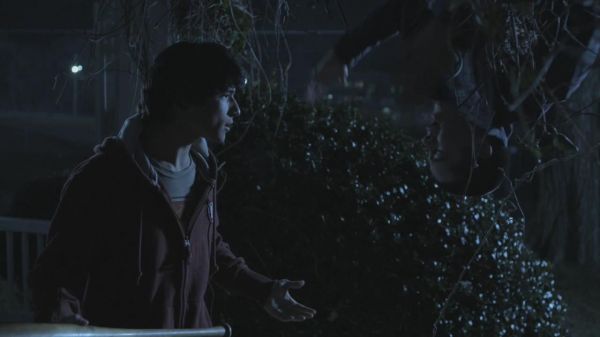 ᴀᴇʟɪɴ ɢᴀʟᴀᴛʜʏɴɪᴜꜱ tweet media