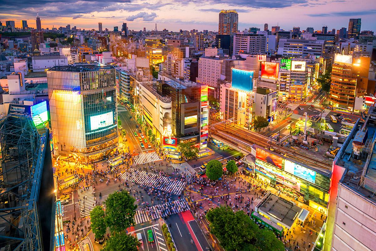aidaegipto's tweet photo. Tokio y Kioto, dos ciudades japonesas cuyo único parecido radica en sus nombres y que permiten apreciar las dos caras de Japón.
#1AVGEporelmundo https://t.co/po51keDuYi
