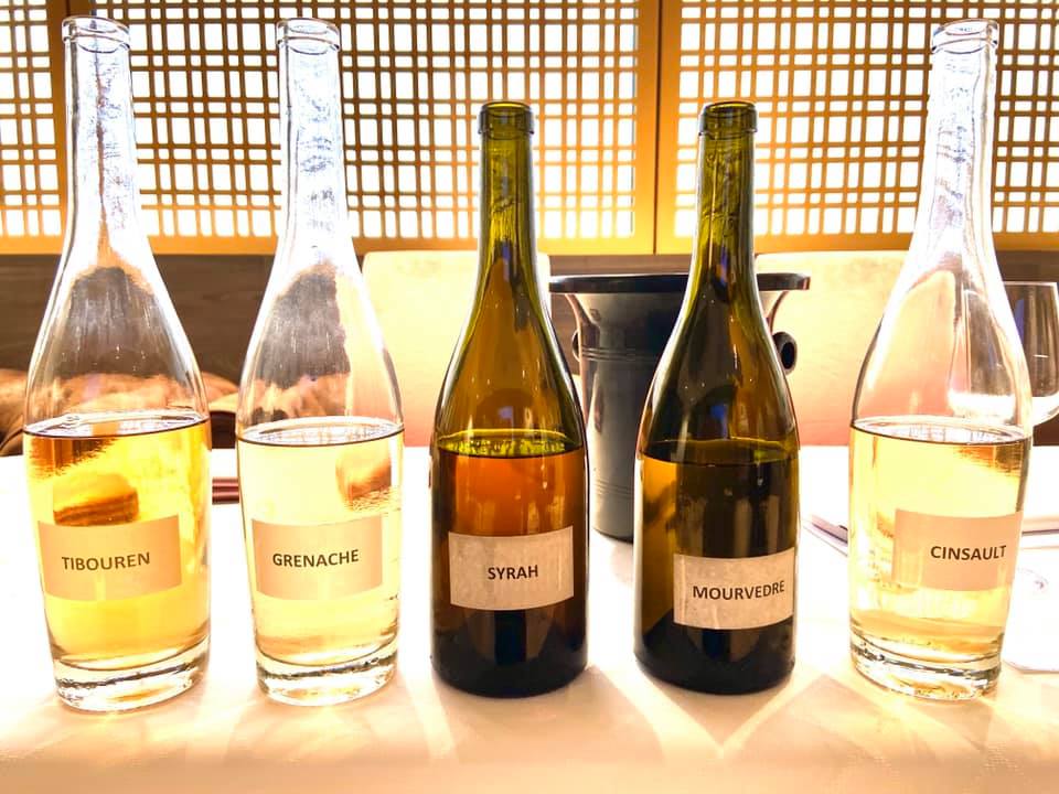 Formation_vin's tweet image. Certification Provence jour 2 : les cépages et les dénominations de terroirs
#VinsdeProvence
#Formation
#CertificationProvence
#ChristianScalisi
#AcademieDuVinRose