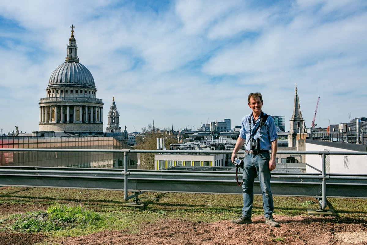 RT TotContractorUK: “It doesn’t matter how small the space, imagine the impact" – wallbarn backs WGRD2020's calls to identify spaces that can be transformed into insect and bird friendly #GreenRoofs. Find out more about #wgrd2020 and how you can get invo…