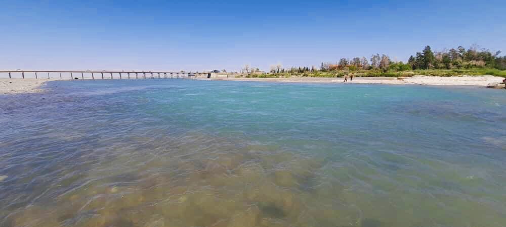 NajibullahAhad1's tweet photo. #باغ_پل د فراه ولايت❤️
#Farah_Province
#Bagh_Poll https://t.co/tjdyWmesQj