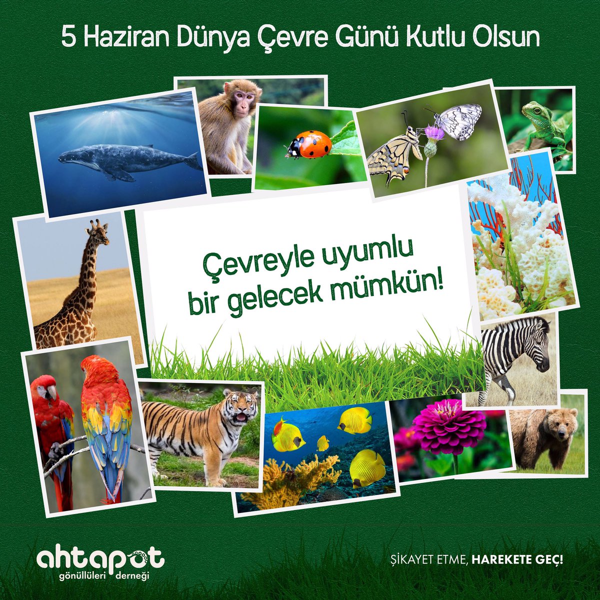 Yaşayan Gezegen Raporu’na göre son 50 yıl içinde karasal türlerin popülasyonlarında yüzde 38, deniz türlerinin popülasyonlarında yüzde 36 azalma olurken, en fazla kayıp yüzde 81 ile sulak alanlarda yaşandı. Ancak bu gidişatı tersine çevirmek için hala fırsatımız var. 🦋🌿💧🌤