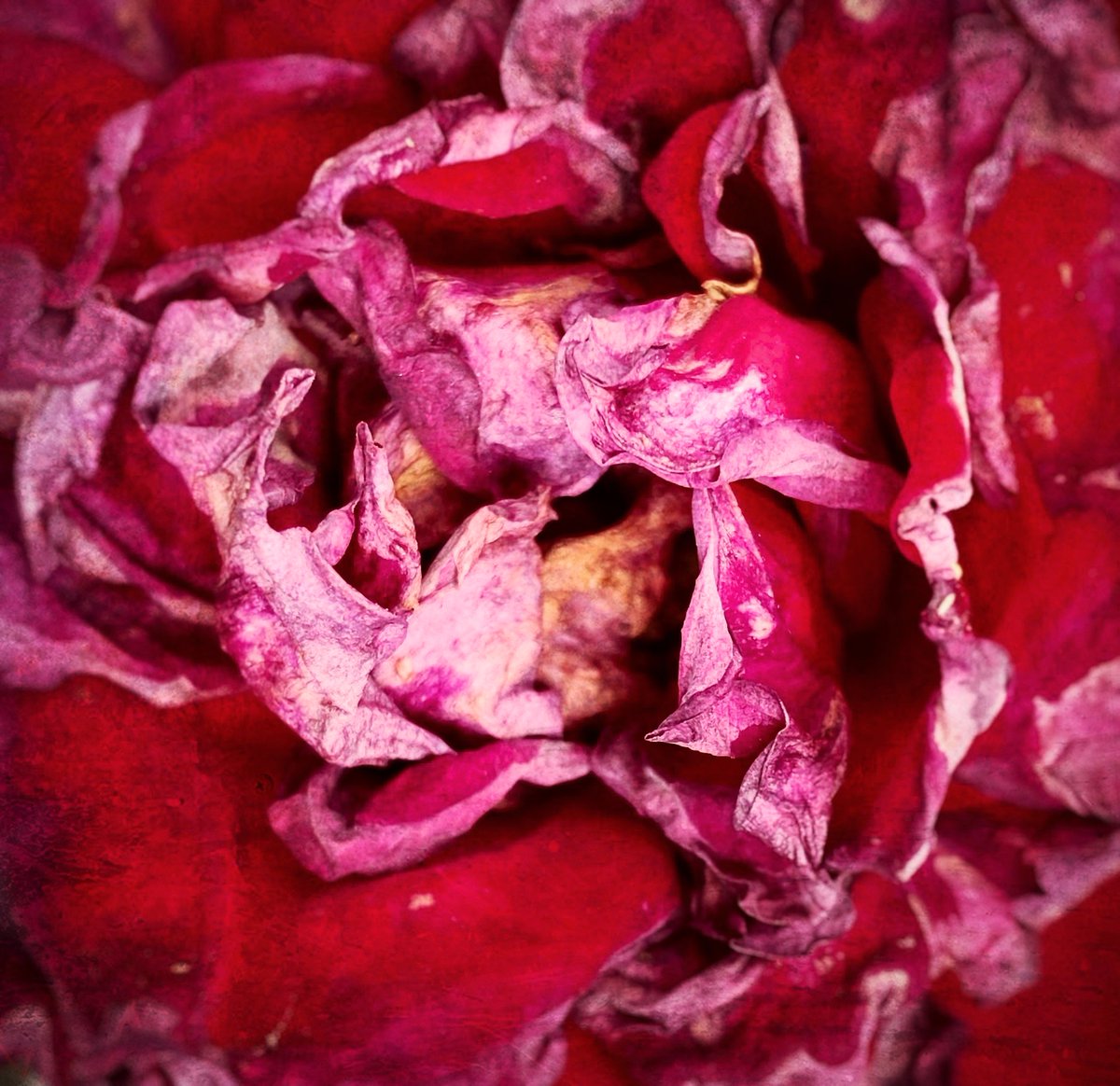 I’ve just released my new album, ‘moment factory’. Please listen and download directly from band camp :))

atsukohatano.bandcamp.com/album/moment-f…