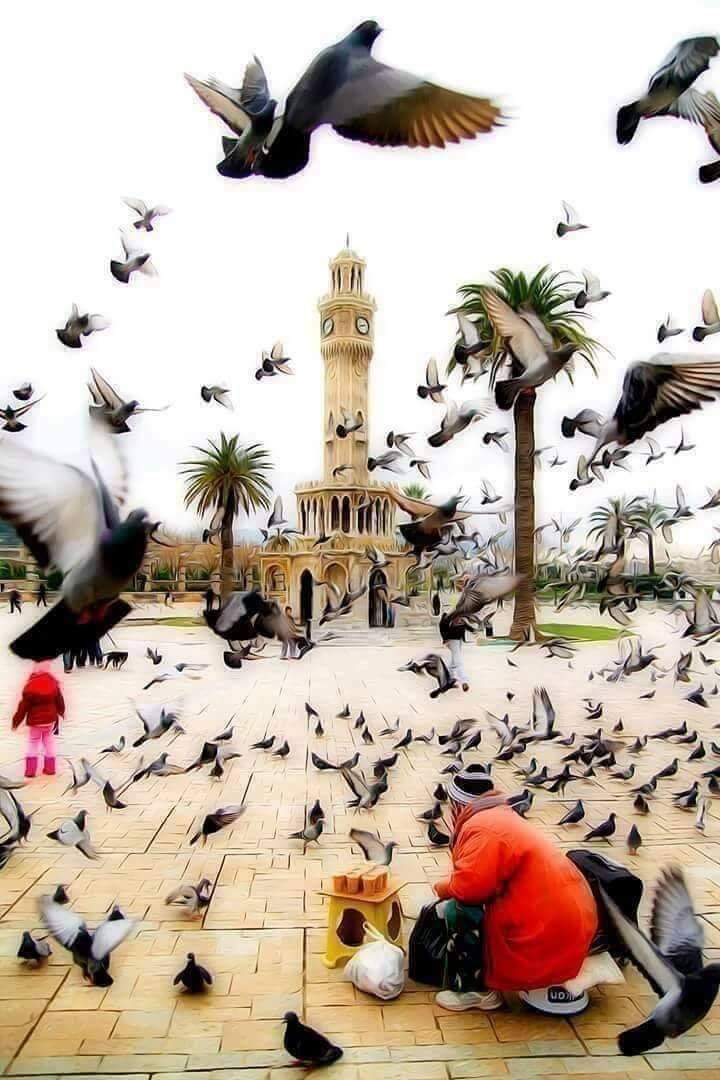 اللهُم صُب السرور في قلوبنا صبًا، واجعل قادم أيّامنا يحمل لنا من الخير والفرح فوق ما نأمل 🤲🏻

جمعة طيبة 📿🕋