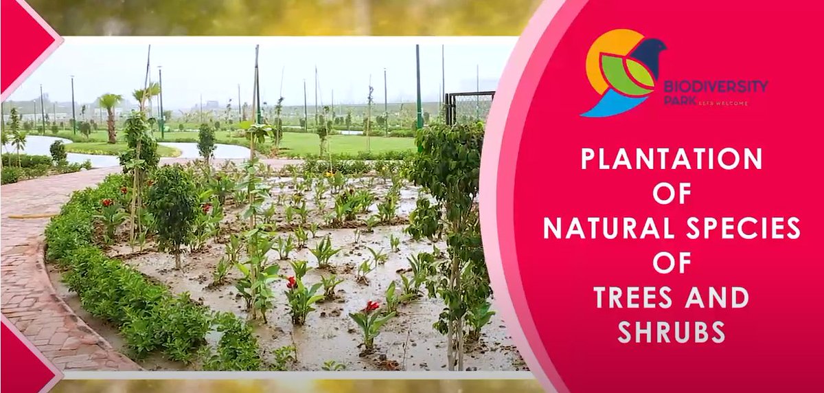 swachhsurat's tweet photo. #MaruSuratNo1 "Our Habit,Their Habitat" ની થીમ ઉપર  "વિશ્વ પર્યાવરણ દિવસ-૫ જુન" ની ઉજવણી કરી, આપણે સૌ પ્લાસ્ટિક જેવી હાનીકારક વસ્તુનો ત્યાગ કરી વન્ય-જીવસૃષ્ટિ, પ્રાણીસૃષ્ટિ અને જળસૃષ્ટિ નું સંવર્ધન કરીએ. #BioDiversityParkSurat #Swachhta #NoPlasticUse @CommissionerSMC @sbmugujarat https://t.co/vwnnYkuU0m