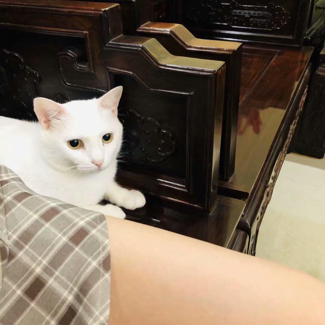 backya516's tweet image. 