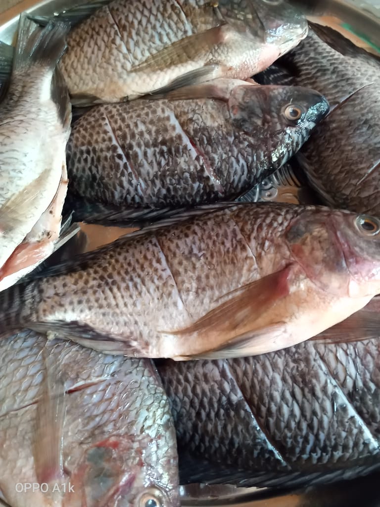 CatererOfChoice's tweet photo. Or Raw and thorougly cleaned, ready to cook. https://t.co/Hq9invxmOA