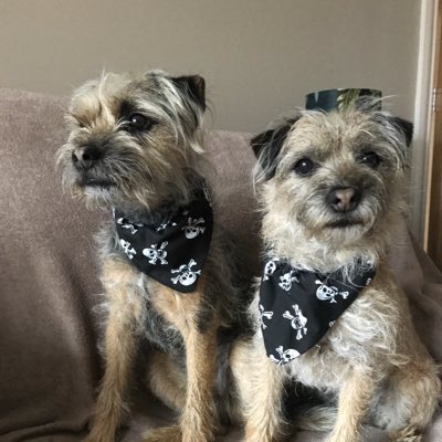 #NewProfilePic Lockdown sewing #BTPosse
