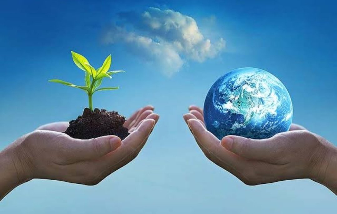 TheHimalayanLe1's tweet photo. #WorldEnvironmentDay2020 
#India #Uttarakhand https://t.co/FkWmjQvqpk