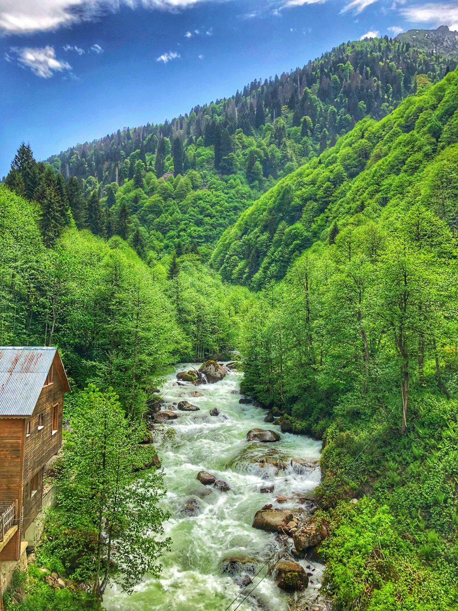 Doğadaki yerinizi ayırtın!
Yeşilin rengine, yaylaların el değmemiş huzuruna, doğanın misafirperverliğine kapılacaksınız.
Karadeniz'in en güzel butik otellerini görmek ve daha fazla bilgi almak için hemen iletişime geçin.
📞 0 (312) 232 4 233
📱 0 (549) 736 84 70