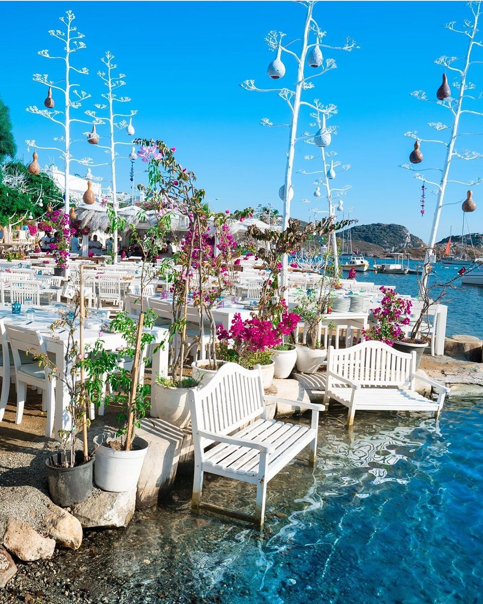 TravelTipsTr's tweet photo. Gümüşlük / Muğla 💙 https://t.co/glfht786yH