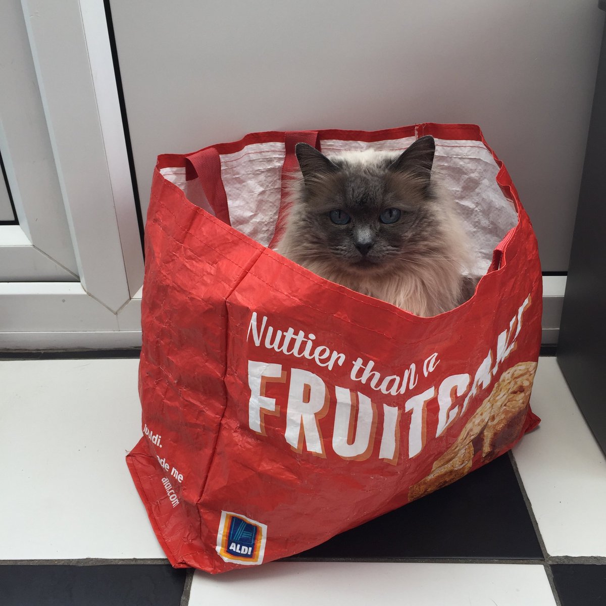 ⁦<a href="/JustMissEmma/">Emma Dolan</a>⁩ one for you 👍🏽