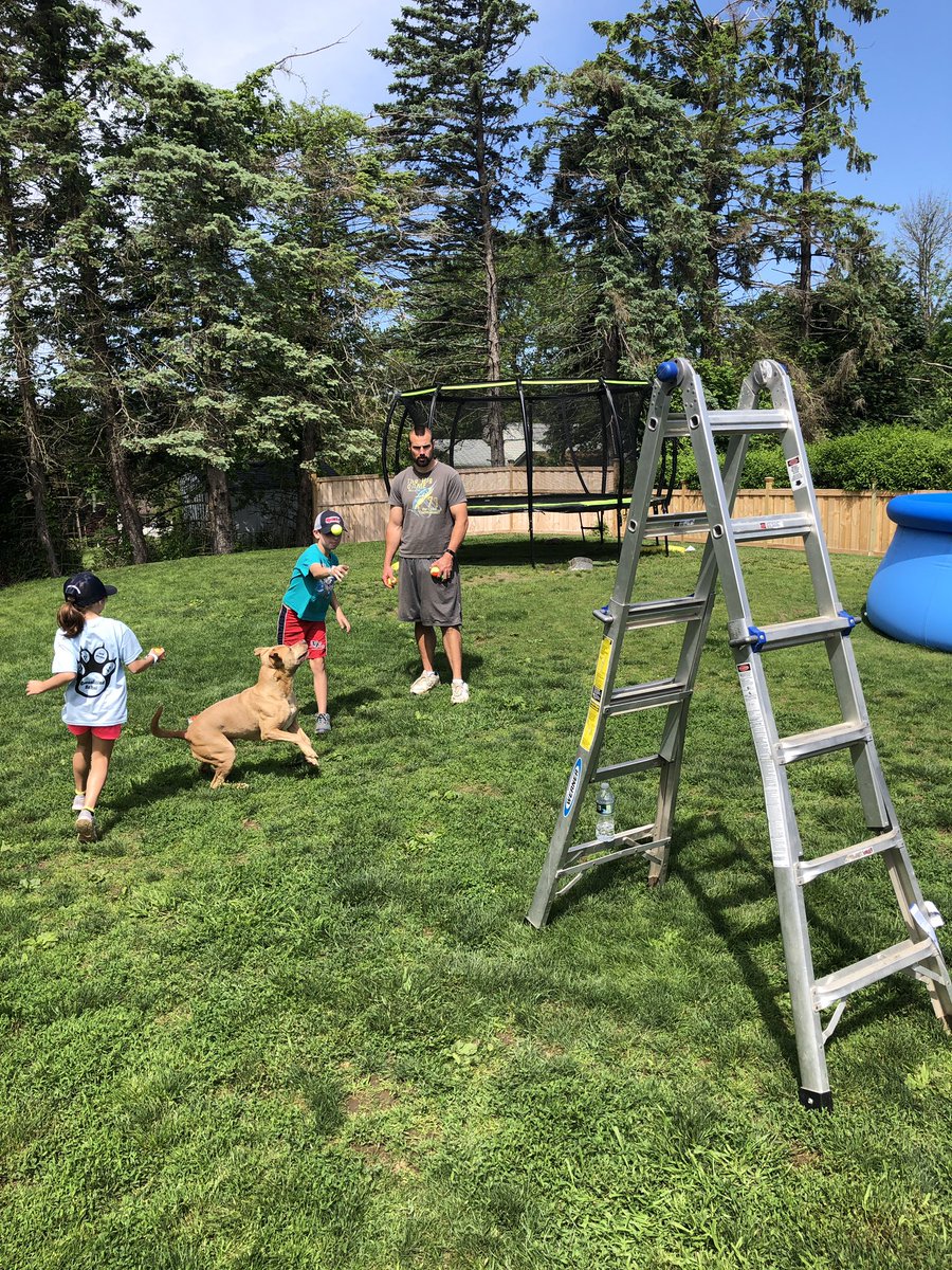 JAlviti_Photo's tweet image. #nfvirtualfieldday was so much fun for all of us! Thank you to the PE and health staff for all of your hard work and awesome videos ❤️💙 @NfVirtualFD