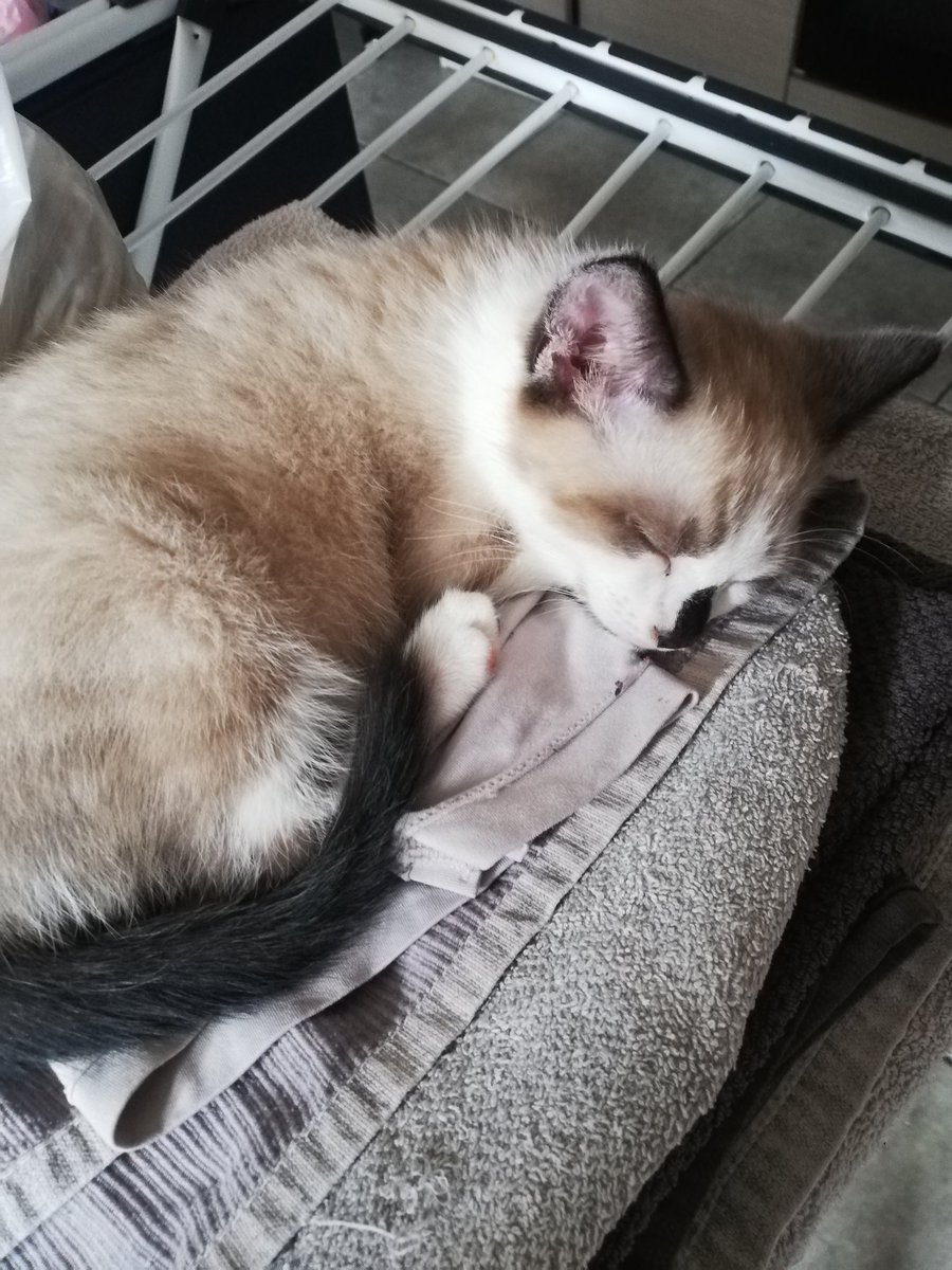 🥺