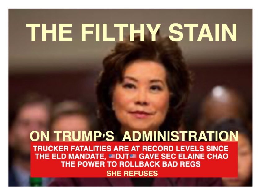 🇺🇸DJT🇺🇸<a href="/realDonaldTrump/">Donald J. Trump</a>  ELAINE CHAO IS DRAGGING HER FEET <a href="/SecElaineChao/">Sec. Elaine Chao</a> FIRE CHAO <a href="/ToddCampbell94/">Todd Campbell</a> <a href="/RonaldRoyThomp2/">Ronald Roy Thompson</a> <a href="/TrishBeattyTedt/">Trish Tedrow</a> <a href="/DisrespectedThe/">The Disrespected Trucker</a> <a href="/TruckerV206/">Vern W</a> <a href="/taylorbilt/">Ⱥmerican Trucker 🇺🇸</a> <a href="/TruckerDesiree/">Desiree</a> <a href="/TALLguy_trucker/">Jason 🇺🇸</a> <a href="/_Truckerb_/">BigTruckerB</a> <a href="/trucker_squigz/">Andy “Squigz”Quillan</a> <a href="/truckerelle/">Jimmy Ellermann</a> <a href="/TruckerNation13/">Trucker Nation</a> @luvtruckers