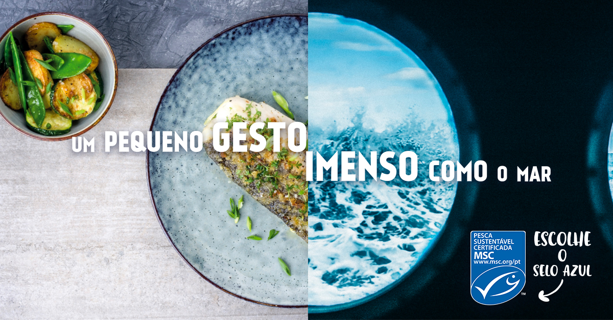 mscemportugal's tweet photo. No #DiaMundiaDoMeioAmbiente, lembra-te que com um pequeno gesto proteges a vida marinha nos oceanos. Procura o #SeloAzul de #pescaSustentável @mscemportugal @MSCecolabel para que haja peixes no futuro. Porque queremos #MarParaSempre!  #UmPequenoGesto #ImensoComoMar #PensaAzul https://t.co/5NATcaUc35