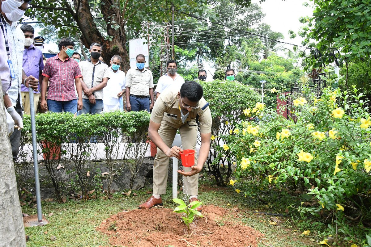 DPC_EkmRural's tweet photo. #നാളേയ്ക്കൊരു_ഫലവൃക്ഷം......
നല്ലൊരു നാളേയ്ക്ക് ഇന്നൊരു ചെടിനടാം......
ലോക പരിസ്ഥിതി ദിനത്തിൽ 'നാളേയ്ക്കൊരു ഫലവൃക്ഷം' കാമ്പയിന് തുടക്കം കുറിച്ച് ജില്ലാ പോലിസ് ആസ്ഥാനത്ത് ഫലവൃക്ഷത്തൈകൾ നടുന്നു.
#June5 #World_environment_day
#Tree #Nature #Nalekkoru_phalavrksham #Fruit_tree https://t.co/CG9TkdTZiq