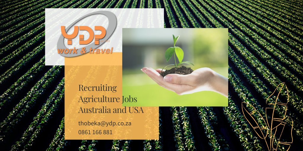 We have partnered with the best agricultural establishments in USA and Australia, contact Thobeka@ydp.co.za or 0861 166 881 to find out how we can get you placed.