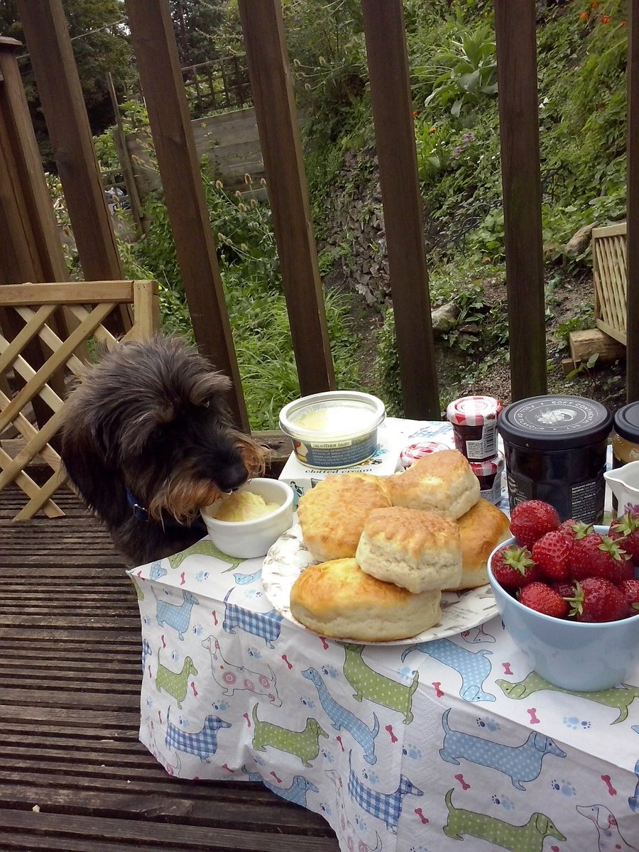 jennyfuramy's tweet photo. @BBCCornwall @Skentelbery #BBCVirtualRCS Best Tea Trolley purveyor in Cornwall ๐ #JamFirst https://t.co/6XnFO8xajP