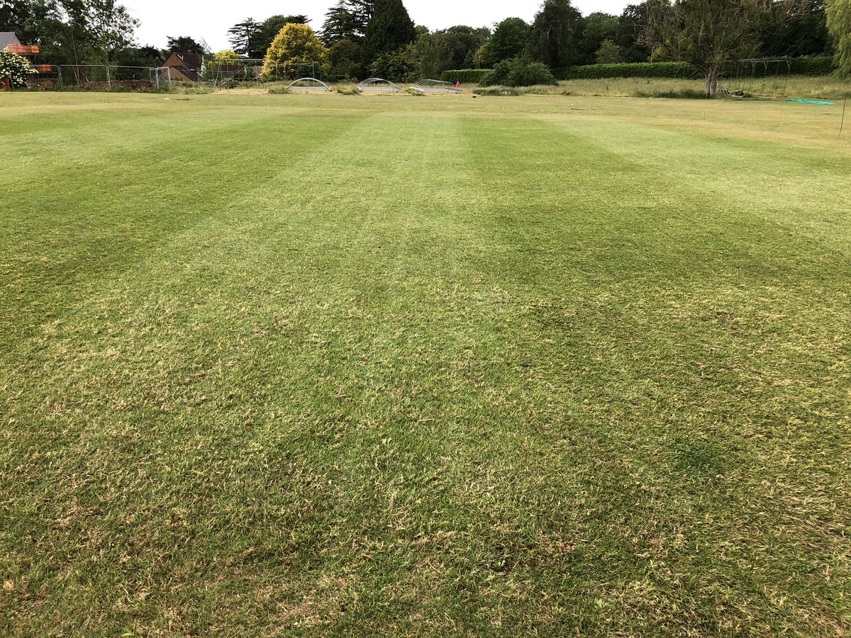 WandHCC's tweet image. Square still looking ok after a very hot and dry couple of months. 

@jackomoore on duties this morning 

Raked in two directions (Two wheelbarrow loads of thatch removed!!! 
Rotary clean up
Cylinder cut to finish 

#groundsman #cricket #turfcareblog #pitchcare #sisis #thatch