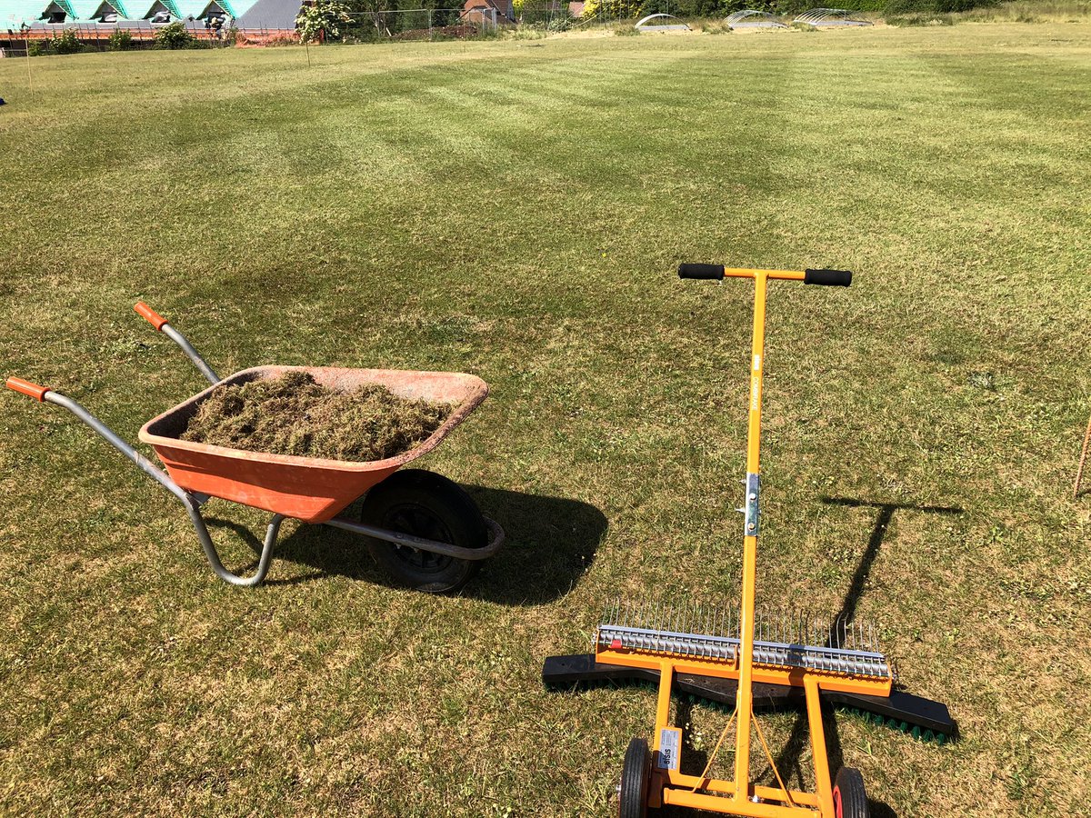 WandHCC's tweet image. Square still looking ok after a very hot and dry couple of months. 

@jackomoore on duties this morning 

Raked in two directions (Two wheelbarrow loads of thatch removed!!! 
Rotary clean up
Cylinder cut to finish 

#groundsman #cricket #turfcareblog #pitchcare #sisis #thatch