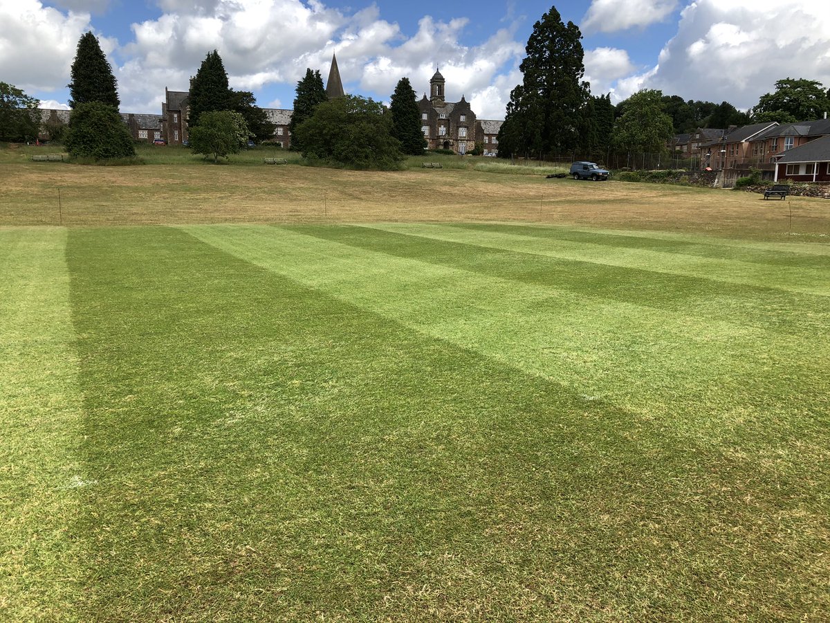 WandHCC's tweet image. Square still looking ok after a very hot and dry couple of months. 

@jackomoore on duties this morning 

Raked in two directions (Two wheelbarrow loads of thatch removed!!! 
Rotary clean up
Cylinder cut to finish 

#groundsman #cricket #turfcareblog #pitchcare #sisis #thatch
