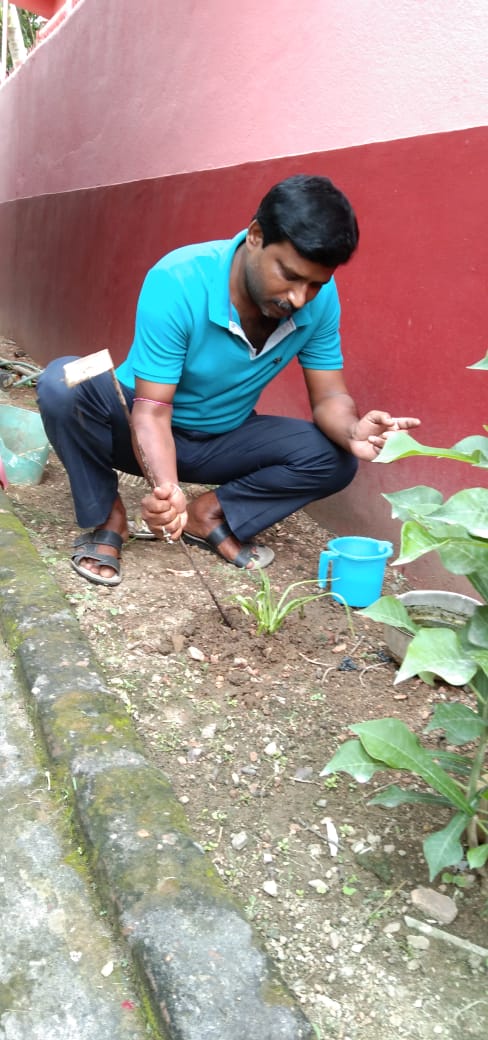 AnandaAcharya14's tweet photo. #cscplantatree https://t.co/9KK6cPTte3