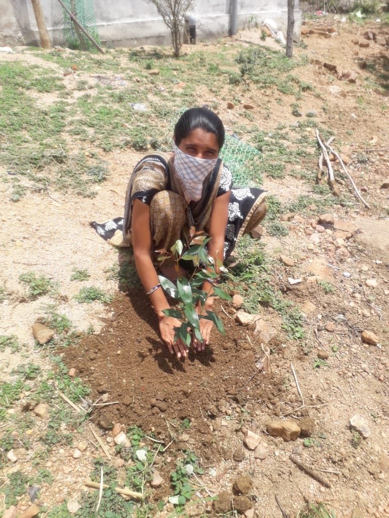 dintya15's tweet photo. CSC VLE MUDAVATH SUNITHA from Ambagiri Balmoor - planting Apricot plant infront of CSC center on the occasion of  World Environment Day #cscplantatree https://t.co/1rBfxvvhG2