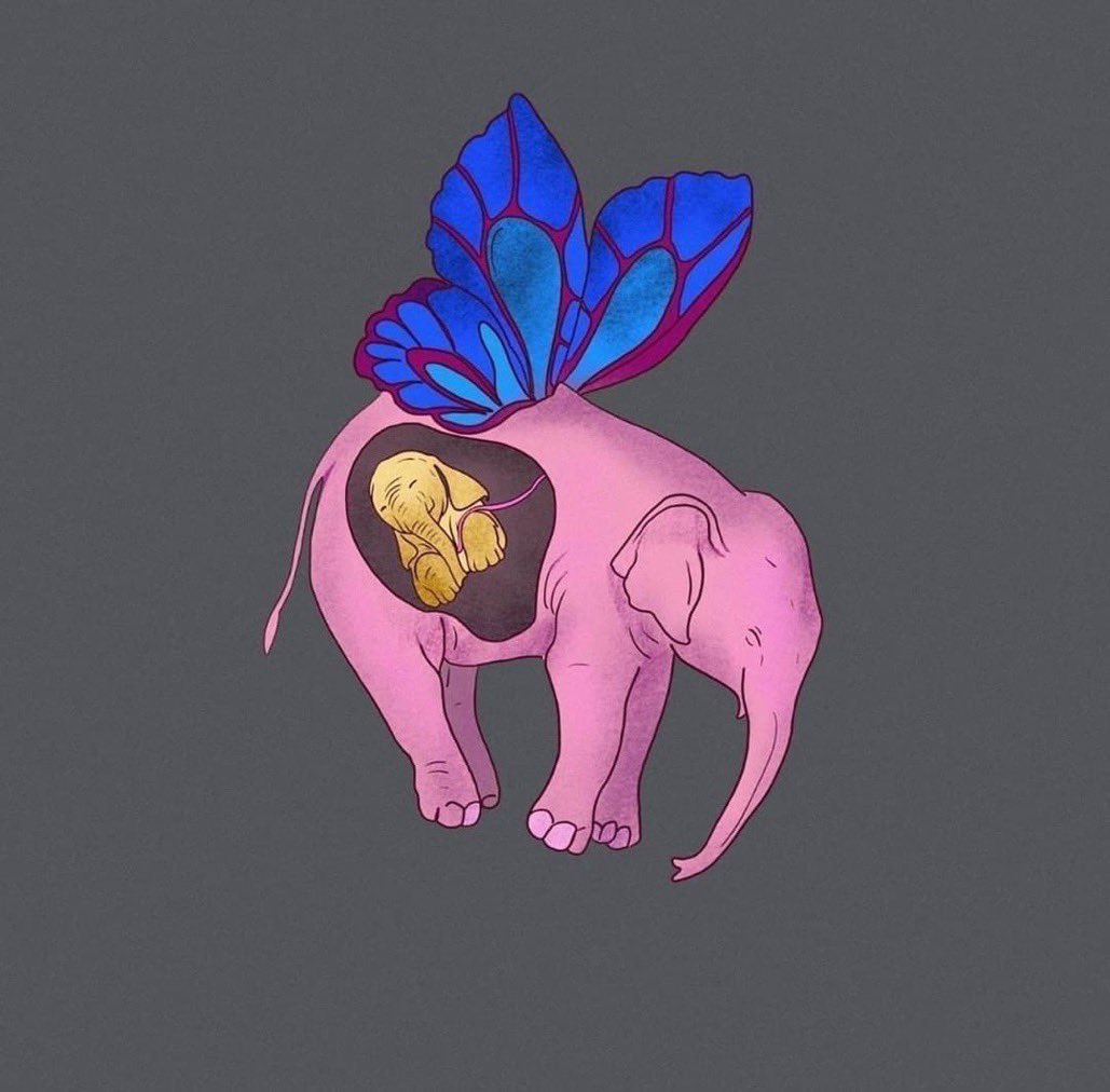 هل شاهدتم ذئبًا في البراري يأكل أخاه 
هل شاهدتم يوماً كلباً عـض يداً ترعاه
هل شاهدتم فيلاً يكذب يسرق يشهد زوراً 
ينكر حقــاً يفشي سراً يمشي مغروراً بأذاه 💔

#أنثى_الفيل_الحامل