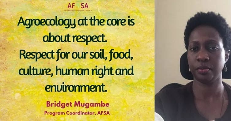 paulatsu2323's tweet photo. 👌👇👇👇 #WorldEnvironmentDay2020 #Agroecology4Nature #ForNatureGh #ForPeoplePlanet #YouthinAg #FbridgeImpactseries #Incubationtv @afaasinfo @pabinado @afaasinfo @FundAgroecology @UNEP @YagGhana @Benjamin_Nunoo2 @yin_ghana @unhabitatyouth @IncubationTv https://t.co/vx5yDeDnB9