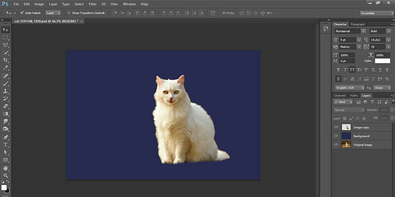 MapSystemsIndia's tweet image. This article defines and explains the use of the Quick Selection and the Refine Edge tool in Photoshop and how they can be used to make an accurate selection.

#RefineEdgeTool #QuickSelectionTool #Photoshop #BackgroundRemoval

bit.ly/3d2aY2m