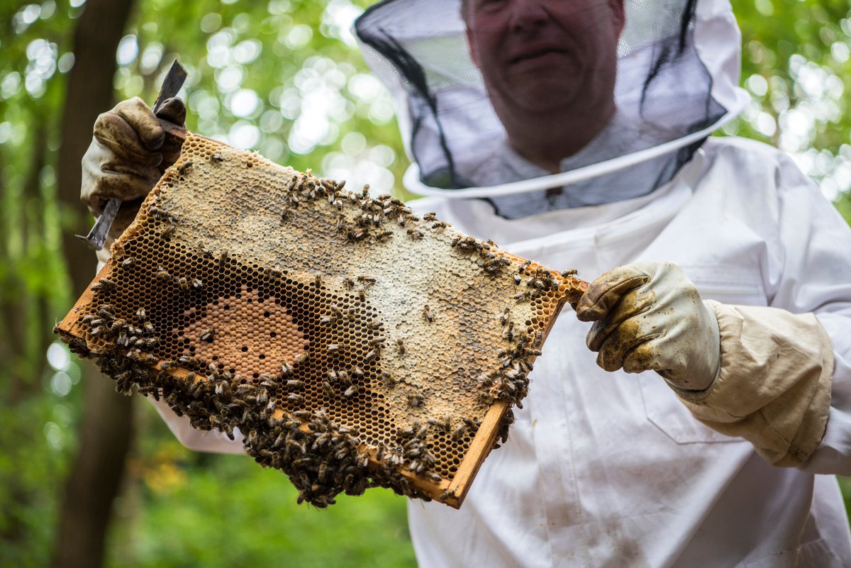 Vandaag is het #wereldmilieudag. 🌱 Bij Sanadome staat duurzaamheid en MVO hoog in het vaandel. In alle onderdelen van onze bedrijfsvoering houden we rekening met milieu, veiligheid en maatschappij. Bekijk onze duurzame initiatieven » bit.ly/2Mw0BZ1