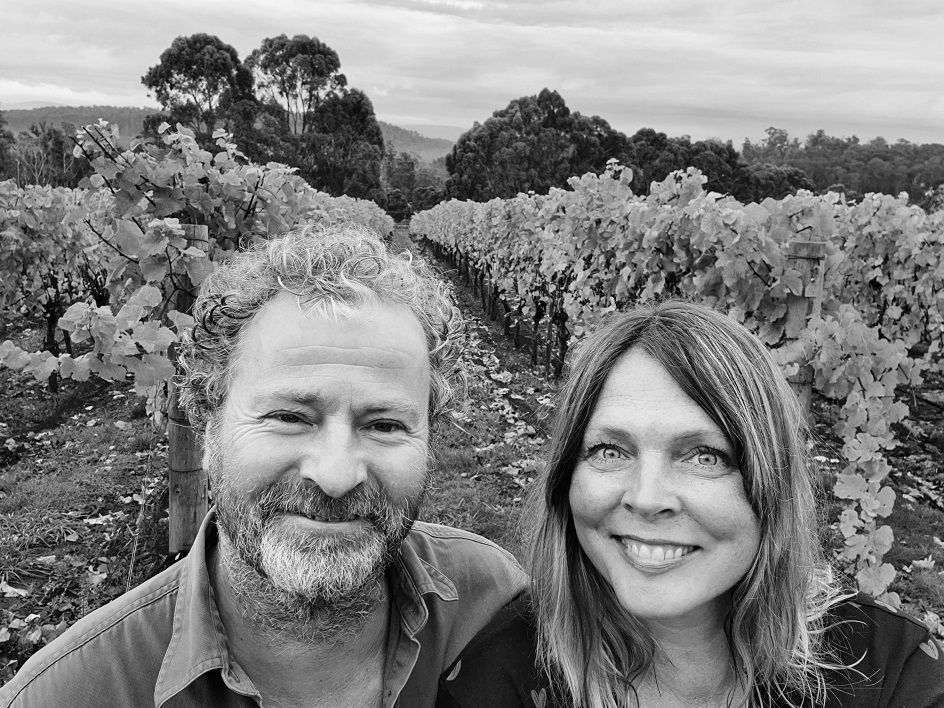 All the leaves are brown, and the sky is grey. I went for a walk, on a winter's day… to <a href="/WinterBrookWine/">Winter Brook Wines</a> for a taste of Frank &amp; Nicole's 2018 Pinot Noir, they also produce cider and have a snail farm! Pinot &amp; escargots anyone?

wine-tasmania.myshopify.com/pages/winter-b…

(snails not included)