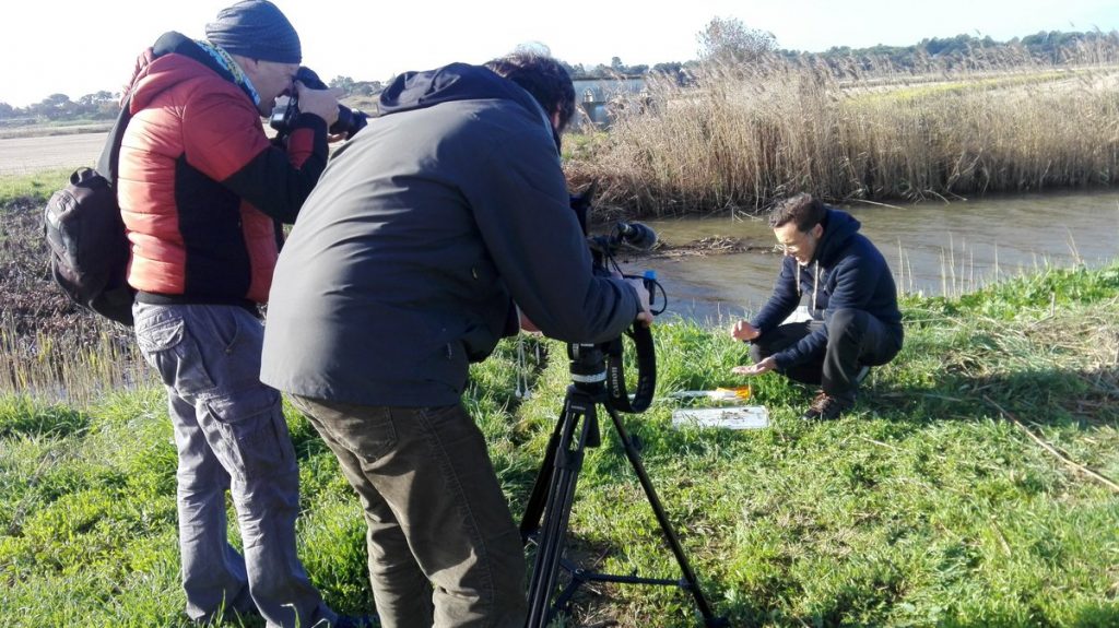 LifeInvasaqua's tweet photo. From the LifeInvasa project we join the celebration of #WorldEnvironmentDay and remember that invasive alien species are the second cause of biodiversity loss in the world. The first in islands. https://t.co/aV1StPhHvo #eei_aquatic #eei_iberian @LIFEprogramme @efeverde https://t.co/QyVFV6rj9h