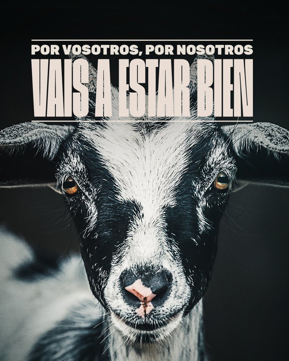 🌎 La #Transcomunicación y la salud animal, unidas por la mejor de las causas.

👩‍🔬😺👨‍🔬 La propuesta de <a href="/Animalhub_es/">Fundación Animal Hub</a> con #VaisAEstarBien es clara: veterinarios, ganaderos, investigadores y familias, unidos en favor del #BienestarAnimal de nuestras mascotas y animales de granja.