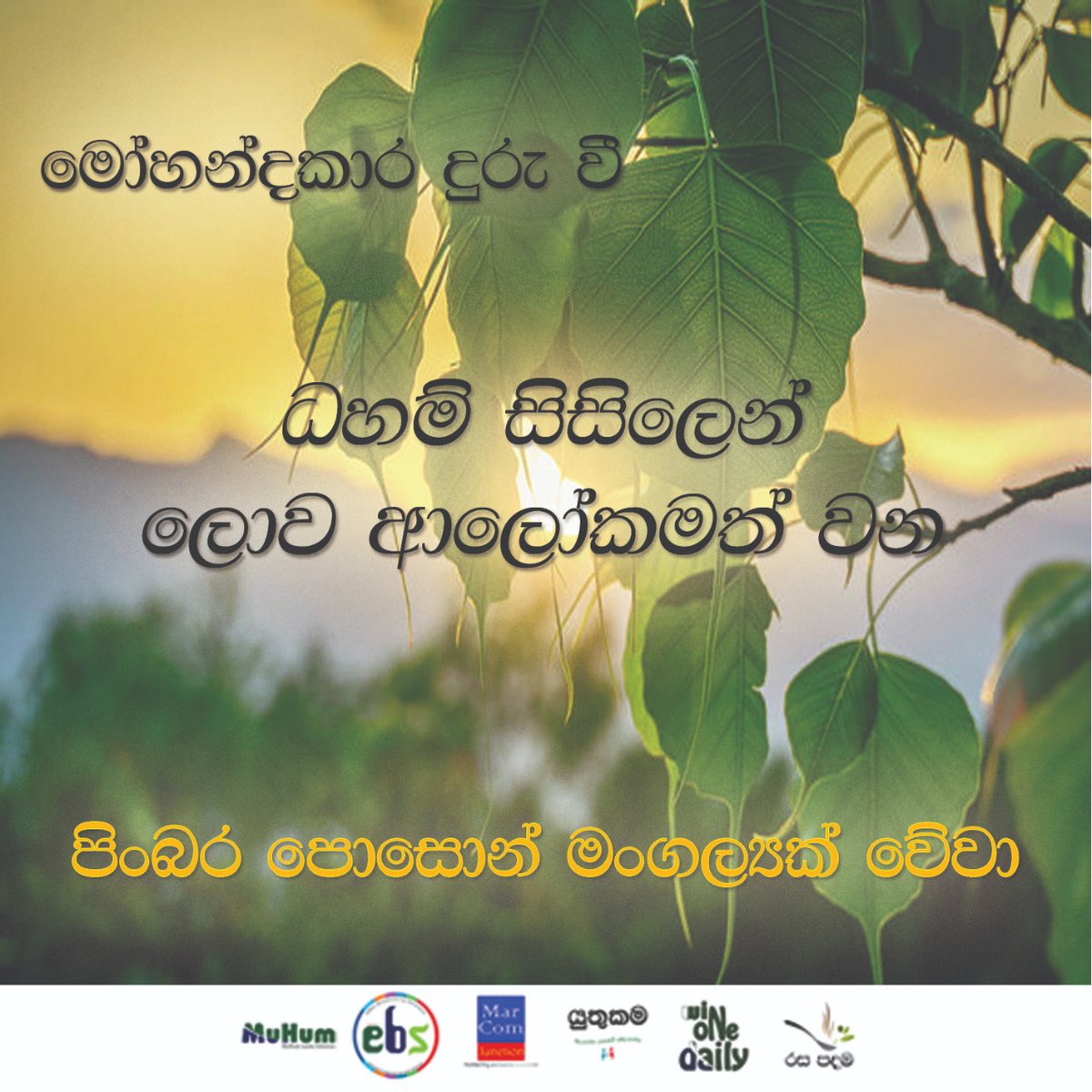 MufaHussain's tweet photo. ලොව ආලෝකමත් වේව!
#Poson #පොසොන් #StayHome
#eMailAdvertising #TeamEBS #eMailMarketing #SocilaMedia #Colombo #EBSSuperFan #eLifeBuzz #SubsceibeAndWin #GuessAndWin #Prizes #Surprises #Like #Follow #Pin #Share #Tag #Subscribe https://t.co/YvcYG1S1VF