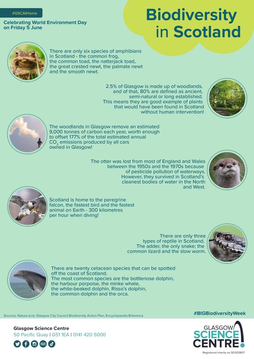 Some interesting info about Biodiversity in Scotland 🏴󠁧󠁢󠁳󠁣󠁴󠁿 Both N5 and S3 biologists are currently learning about Biodiversity 🌏🌾🐋🐬🐍🐛🦋🦉🦅🐸🐥🦀🌲🌿 Thanks for sharing <a href="/gsc1/">Glasgow Science Centre</a>