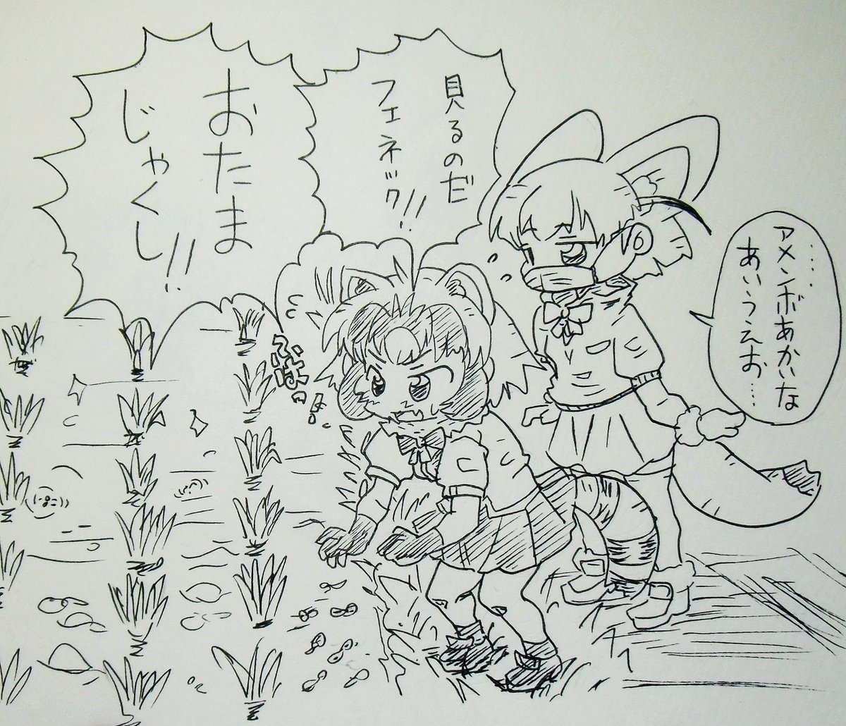 今日のアライさん
田んぼのおたまじゃくしに興奮するアライさん
…アライさんは水棲生物が好き…
#アライさん
#けものフレンズ 