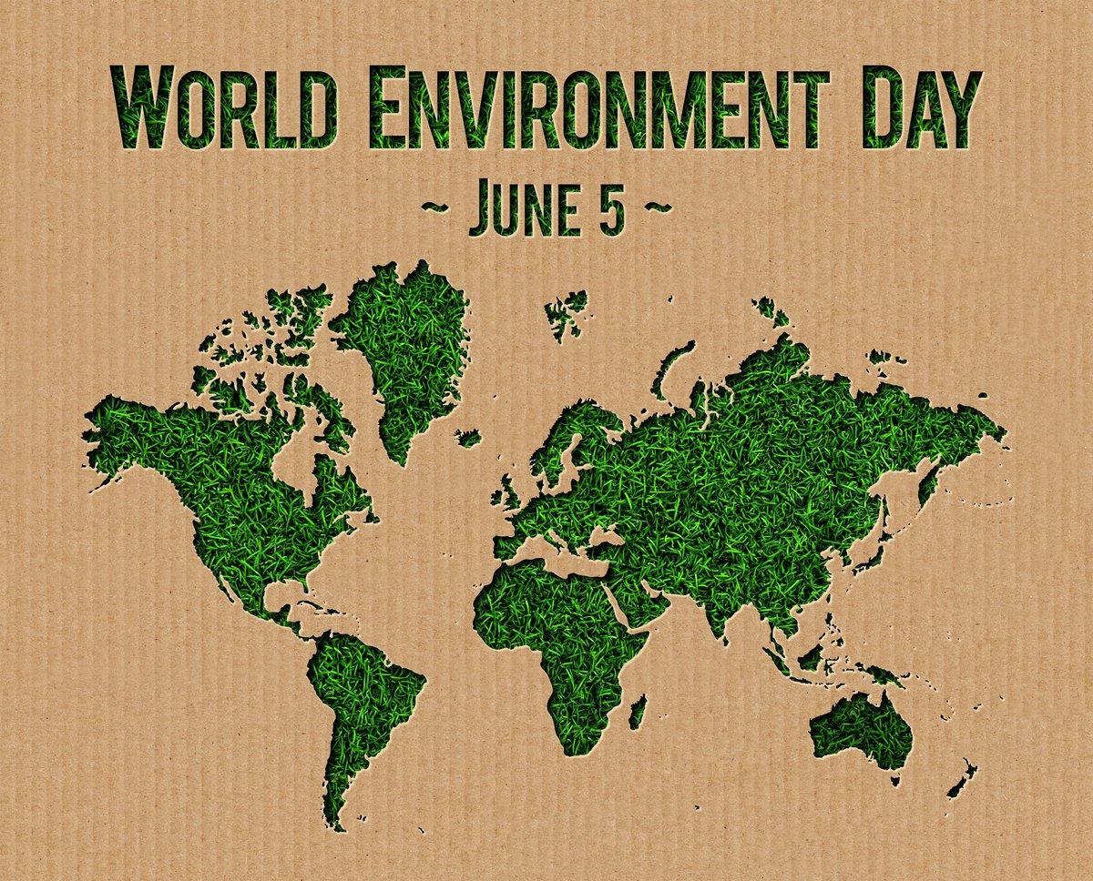 Happy World Environment Day from all the <a href="/chamberlowcarb/">Chamber Low Carbon</a> Team