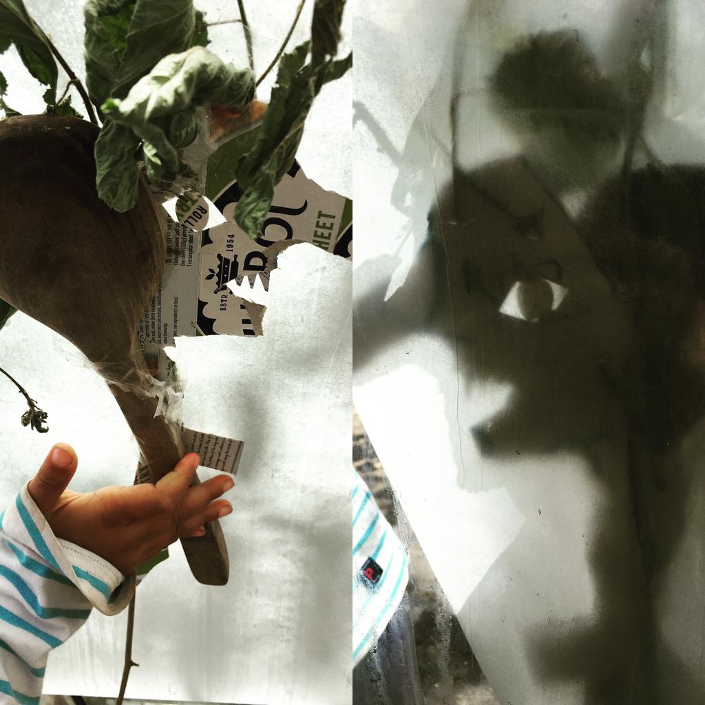 Kite Studios tweet media