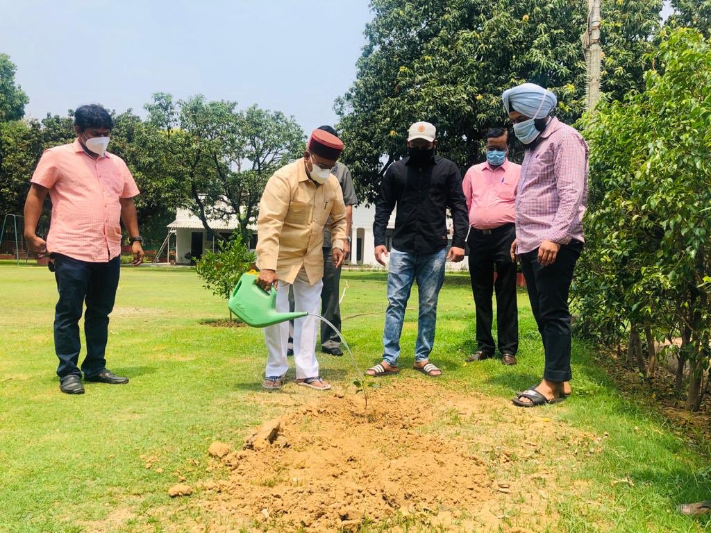 TCGEHLOT's tweet photo. वृक्ष हमारे जीवन का आधार होते हैं। पेड़ हमें जीवनदायी ऑक्सीजन गैस प्रदान करते हैं।इसलिए हर व्यक्ति अपने जीवन में अधिक से अधिक पौधे लगाकर उनका लालन-पालन के साथ संरक्षण भी करें।

आज #WorldEnvironmentDay के अवसर पर दिल्ली स्थित निवास पर पेड़ लगाया, आप भी वृक्षारोपण जरूर करें। https://t.co/GkVNXmssJa
